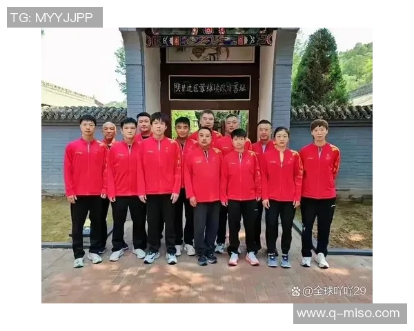 乒乓球的魅力与团队精神西安乒乓球队的协作之道揭秘