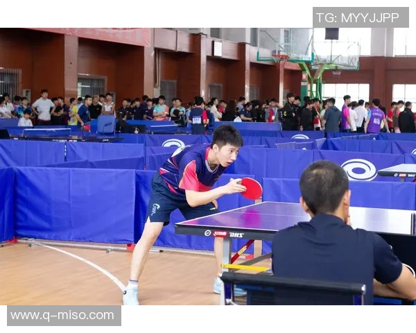 乒乓球的魅力与实力揭秘南京乒乓球队的成长之路与辉煌成就